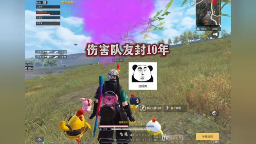 和平精英《火锅》辅助